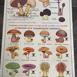 Old educational school poster, school