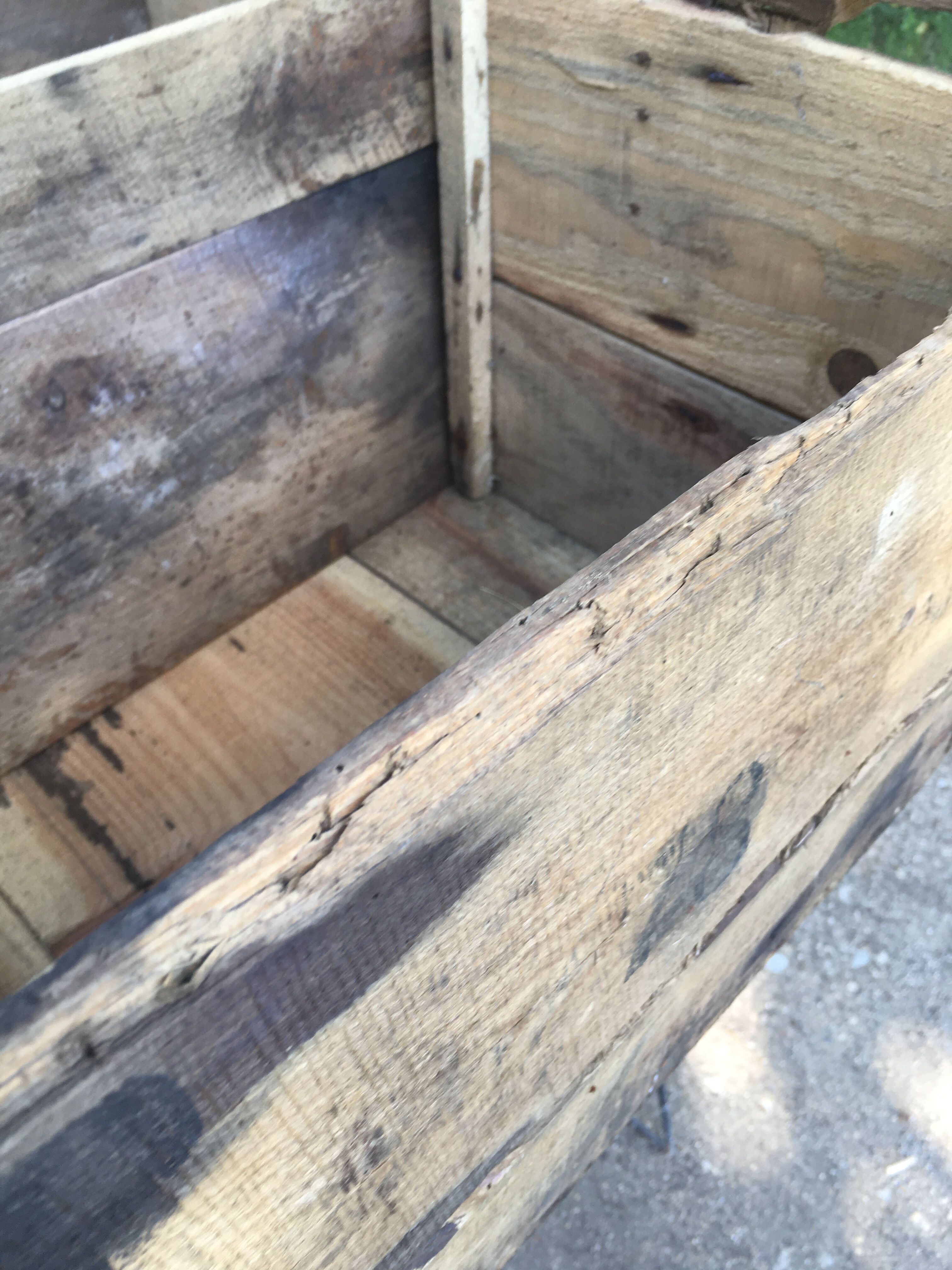 Wooden box Chocolate Foal