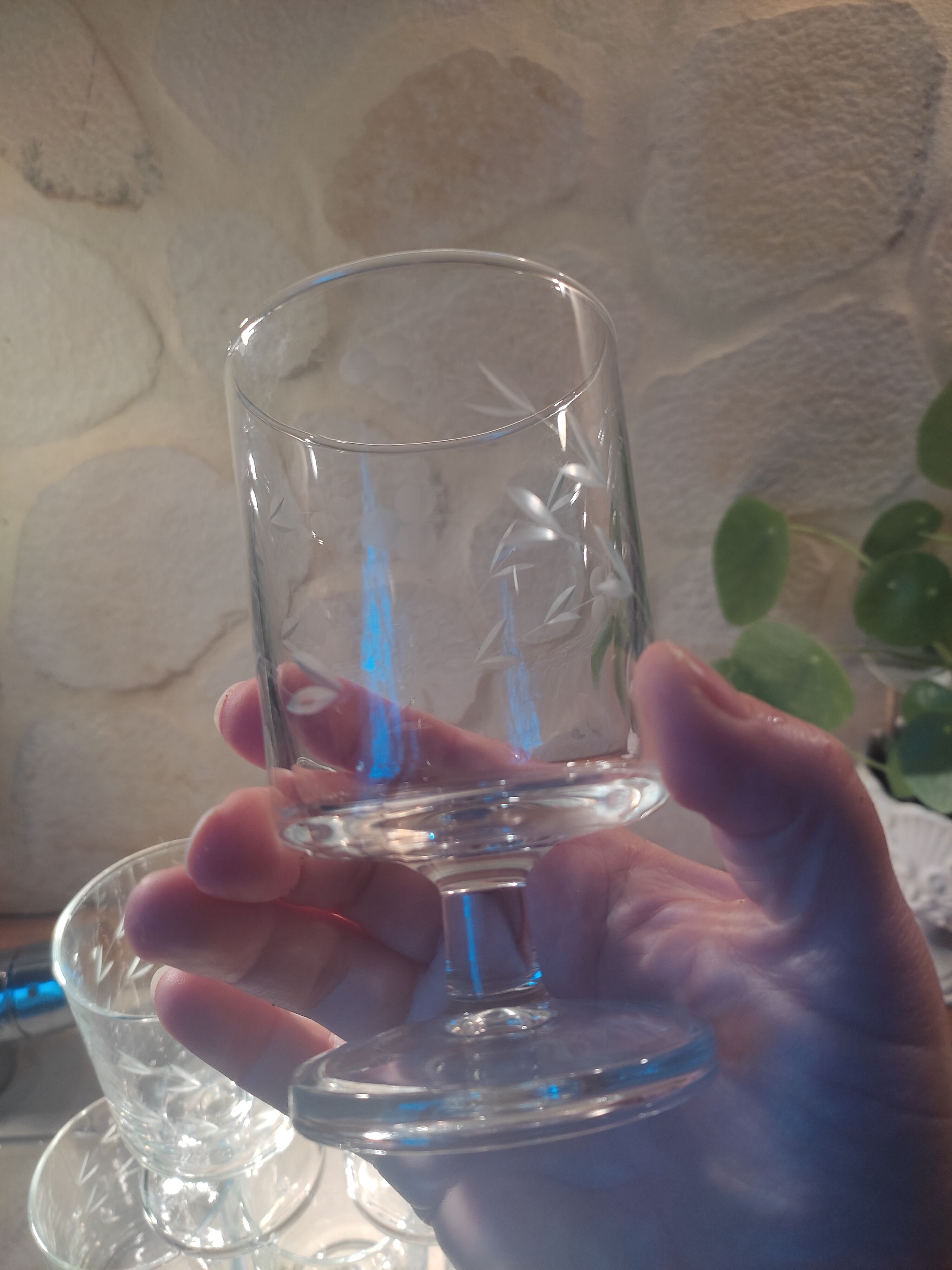 6 engraved vintage glasses
