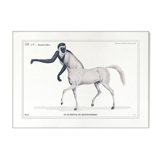 Chimera lithography animal engraving - the guéréval