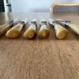 6 horn handle knives