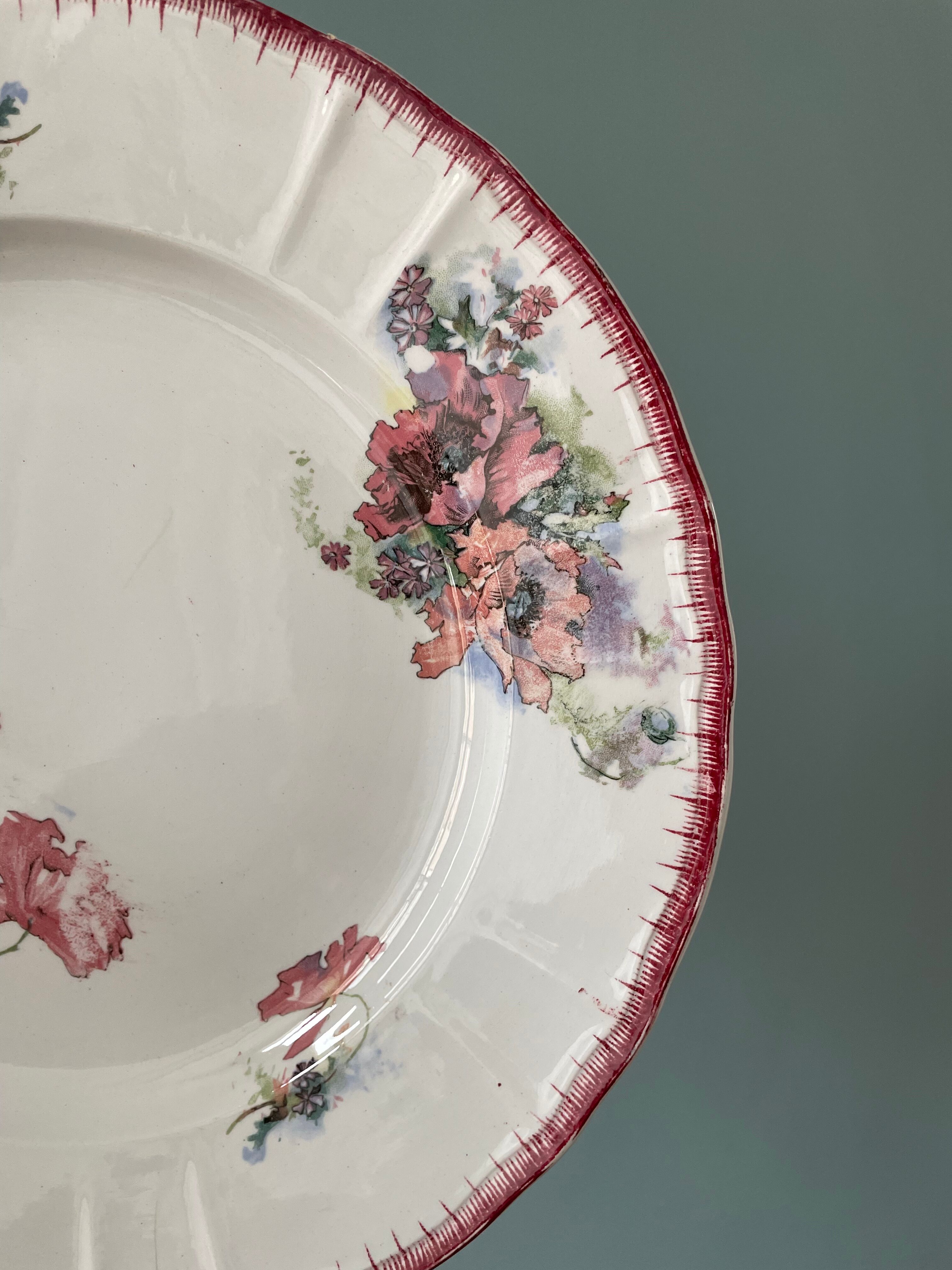 Lot de 9 assiettes plates Terre de Fer modèle « Pavots » St Amand & Hamage Nord