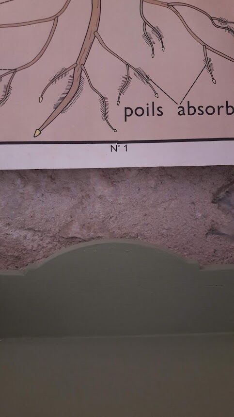 Green Parisian buffet