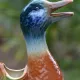 St Clément barbotine duck jug
