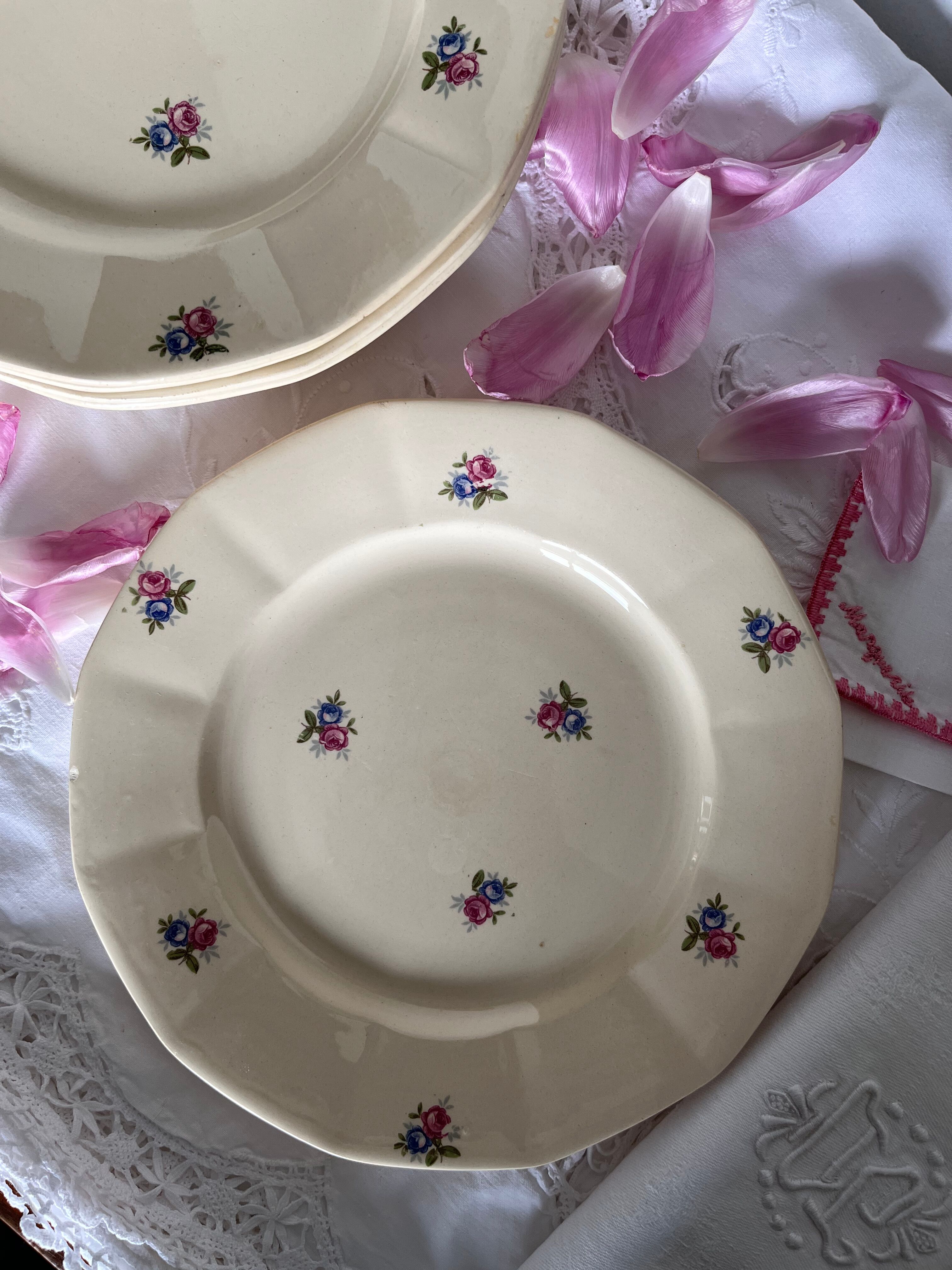 6 plates Sarreguemines Digoin