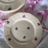 6 plates Sarreguemines Digoin