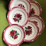 Digouin plates