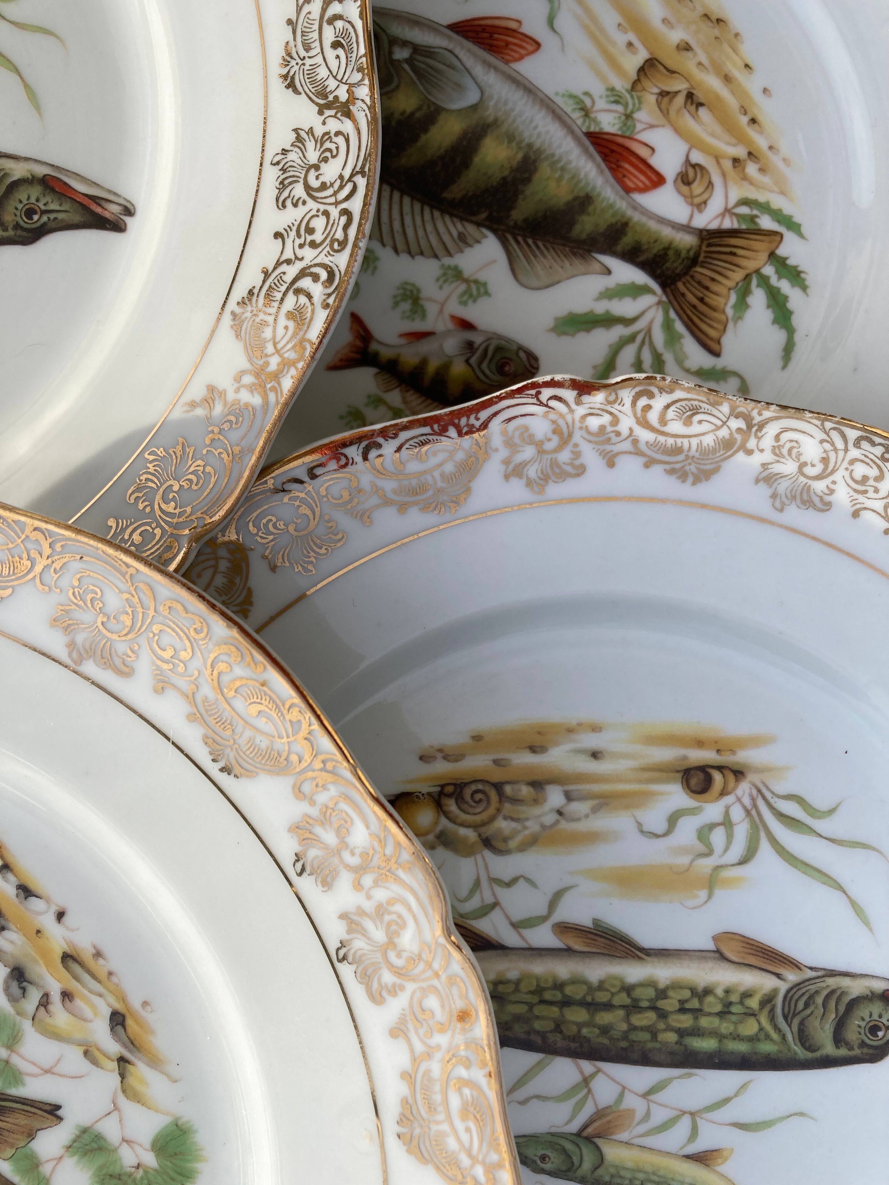 11 vintage Limoges porcelain fish plates