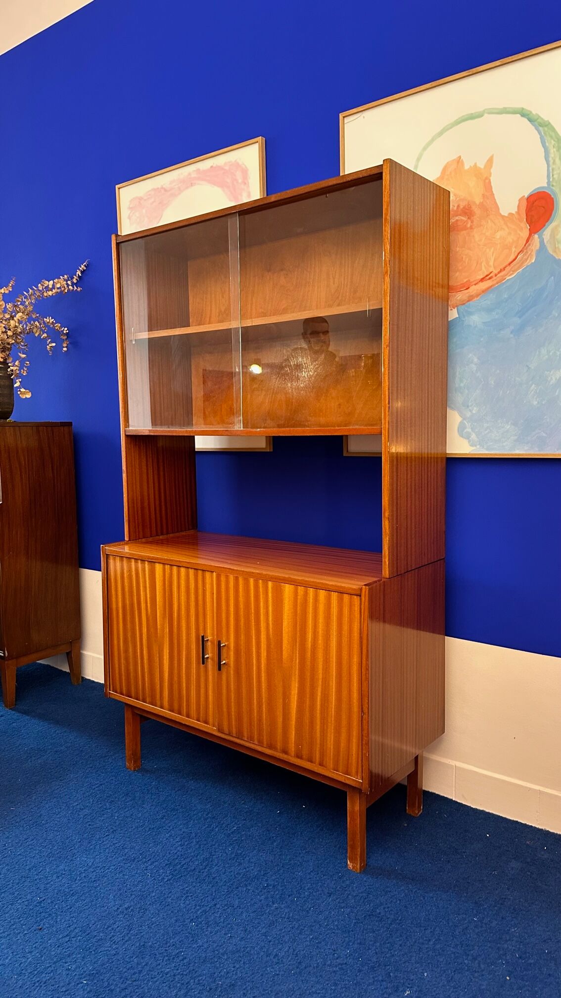 Storage cabinet with showcase of the 60s pedestal shelf