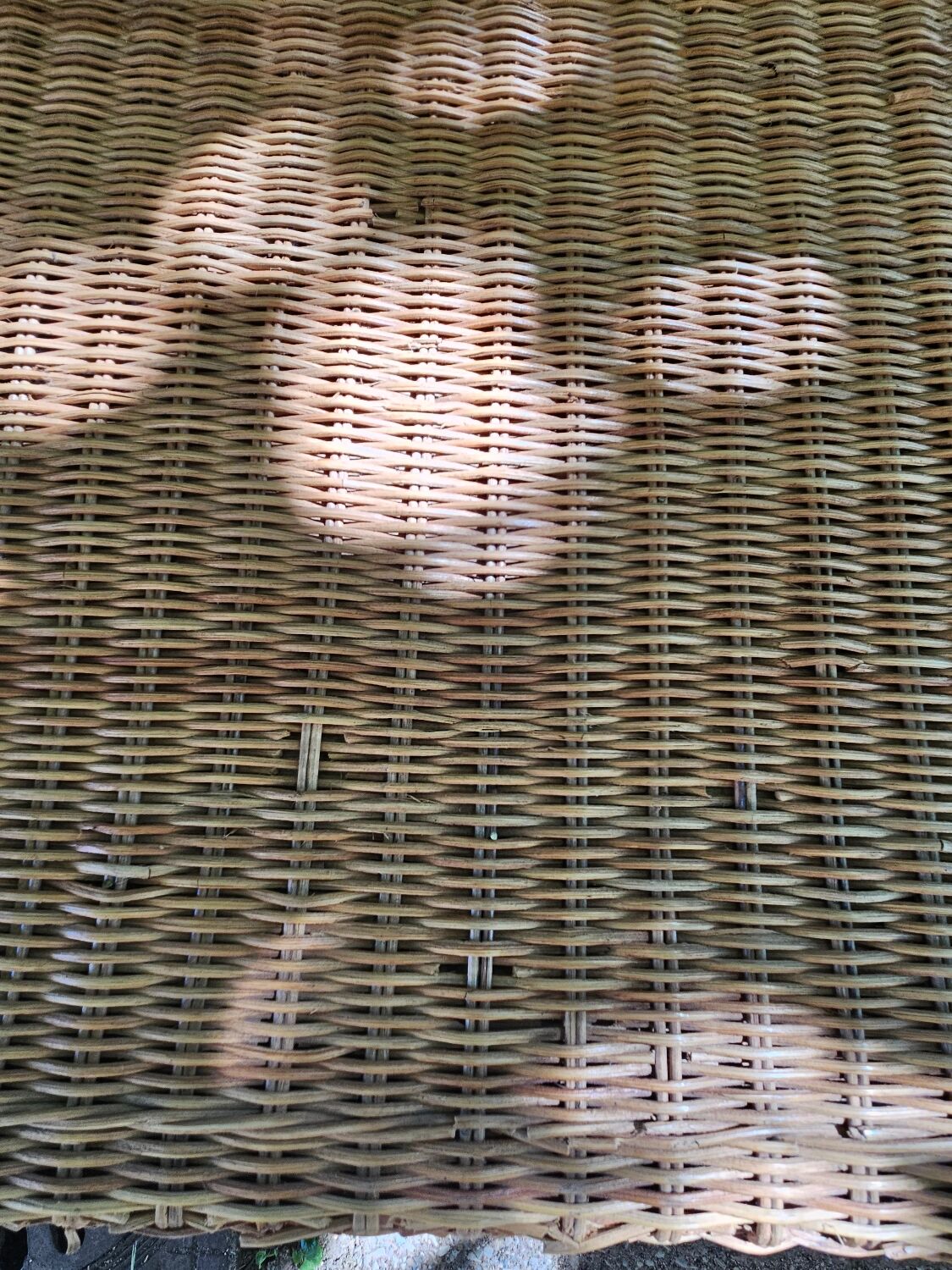 Wicker sofa
