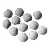 12 scallop shells porcelain biscuit