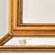 Miroir rectangulaire Deknudt pareclose