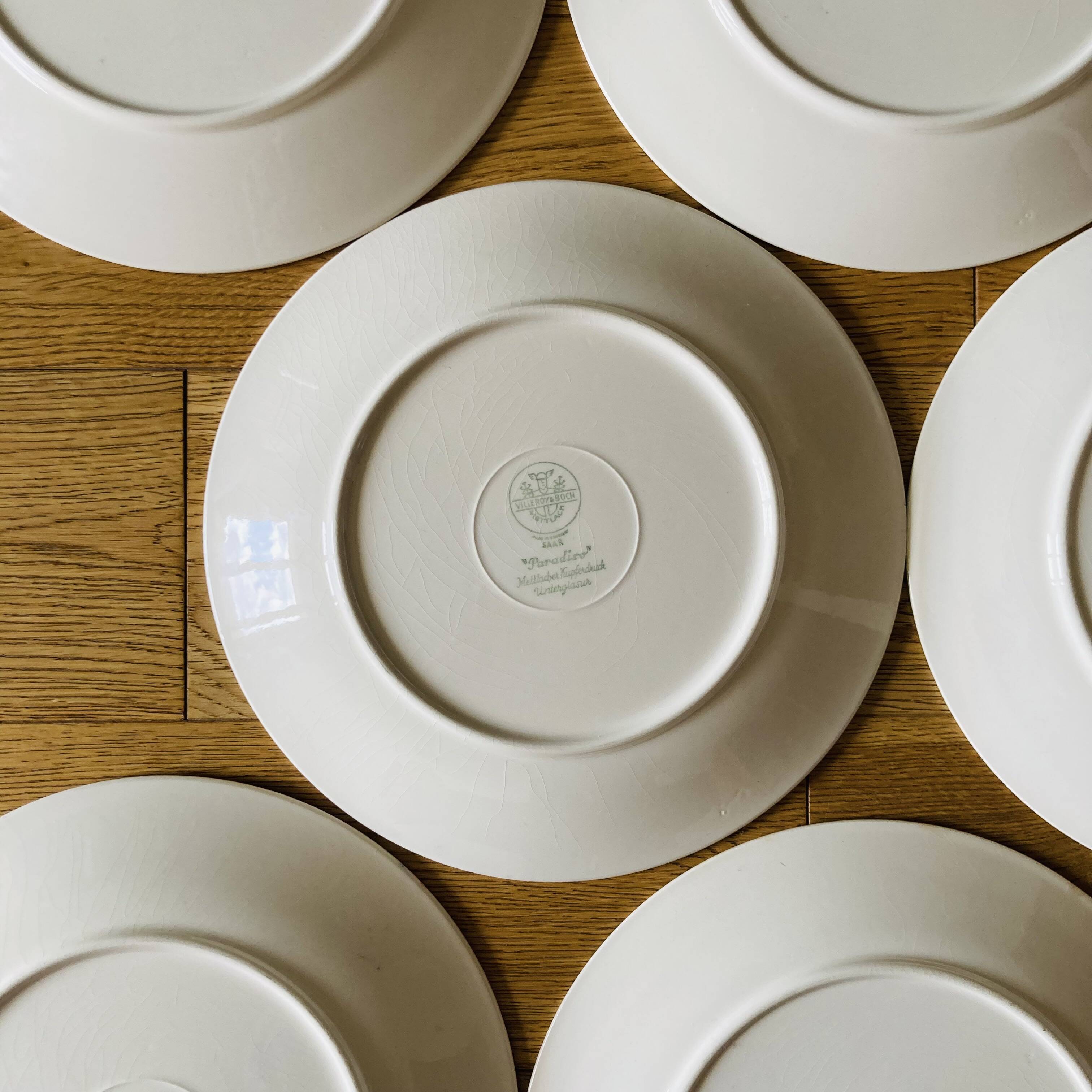 Paradiso 12 dinner plates Villeroy Boch