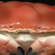 Terrine crab cake