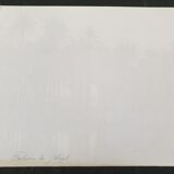 Photographie, tirage albuminé - Palmiers de Gyzeh, près du Caire, Egypte, Pascal Sébah (1823-1886)