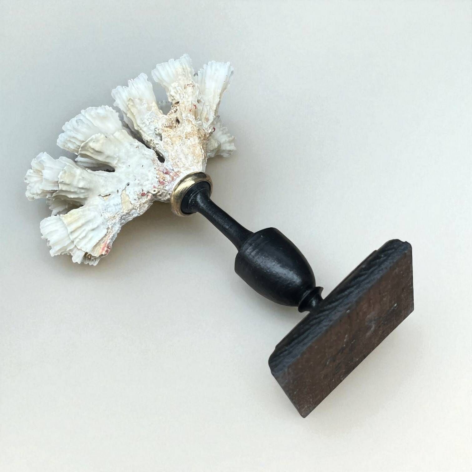 Antique natural white coral on turned wooden base - cabinet of curiosities