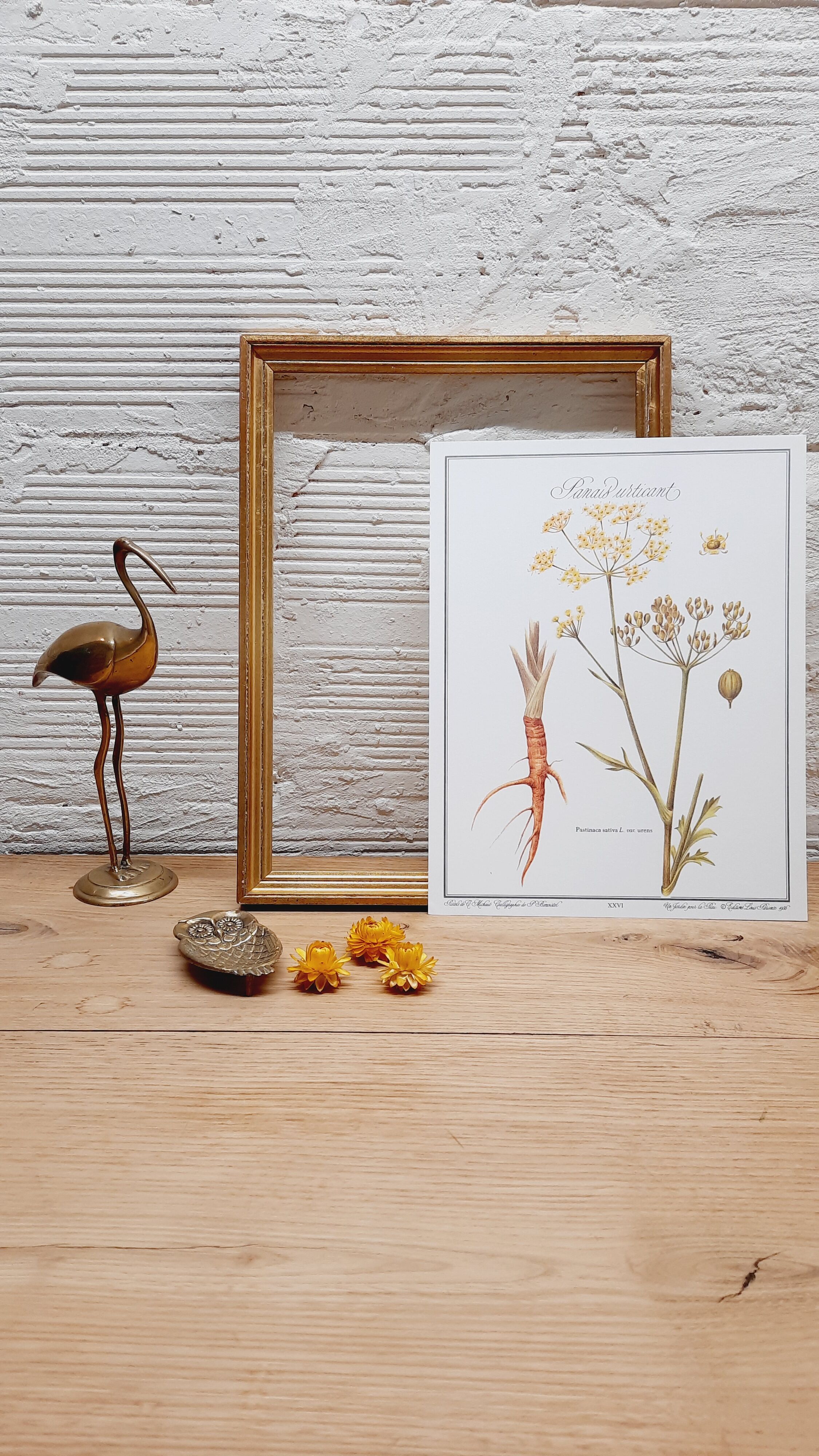Stinging Parsn by-pansnish botanical poster