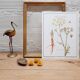 Stinging Parsn by-pansnish botanical poster