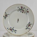6 flat plates with cornflower decoration