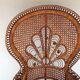 Armchair Emmanuelle Peacock