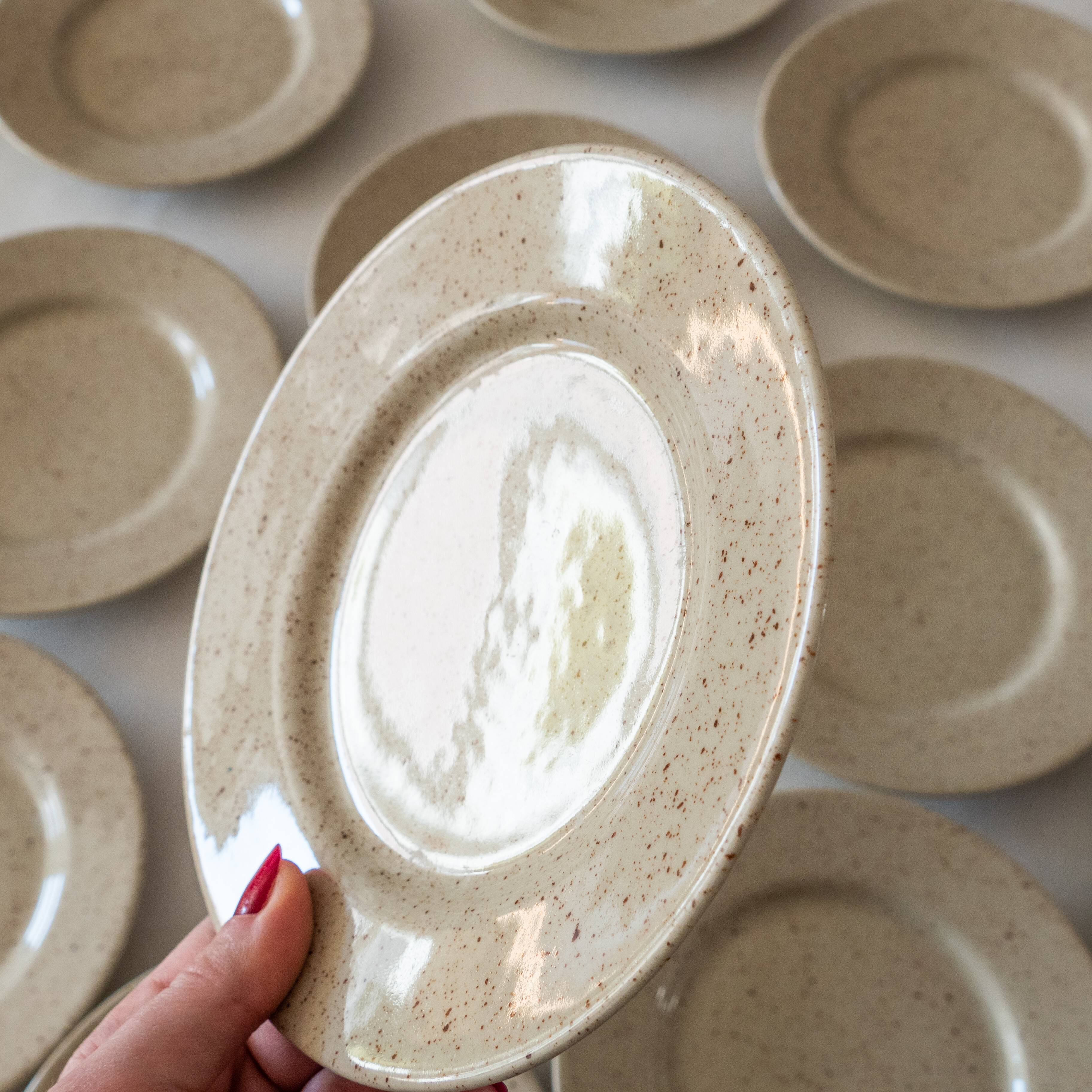 6 vintage speckled stoneware plates