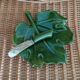 Beurrier vintage feuille en barbotine