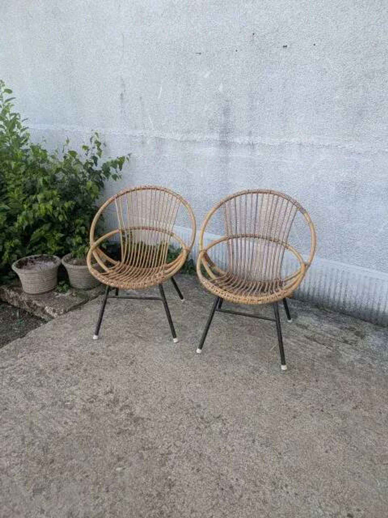 Pair of rattan armchairs
