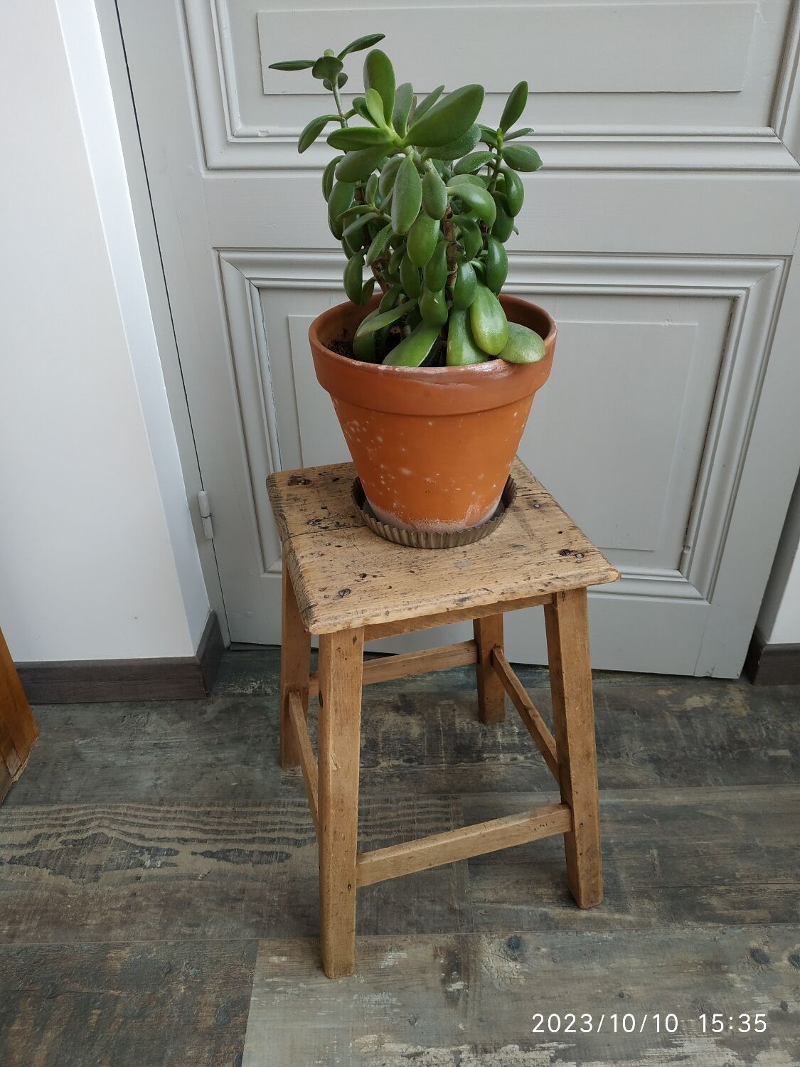 Wooden stool