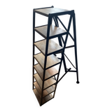 Industrial shelf ladder