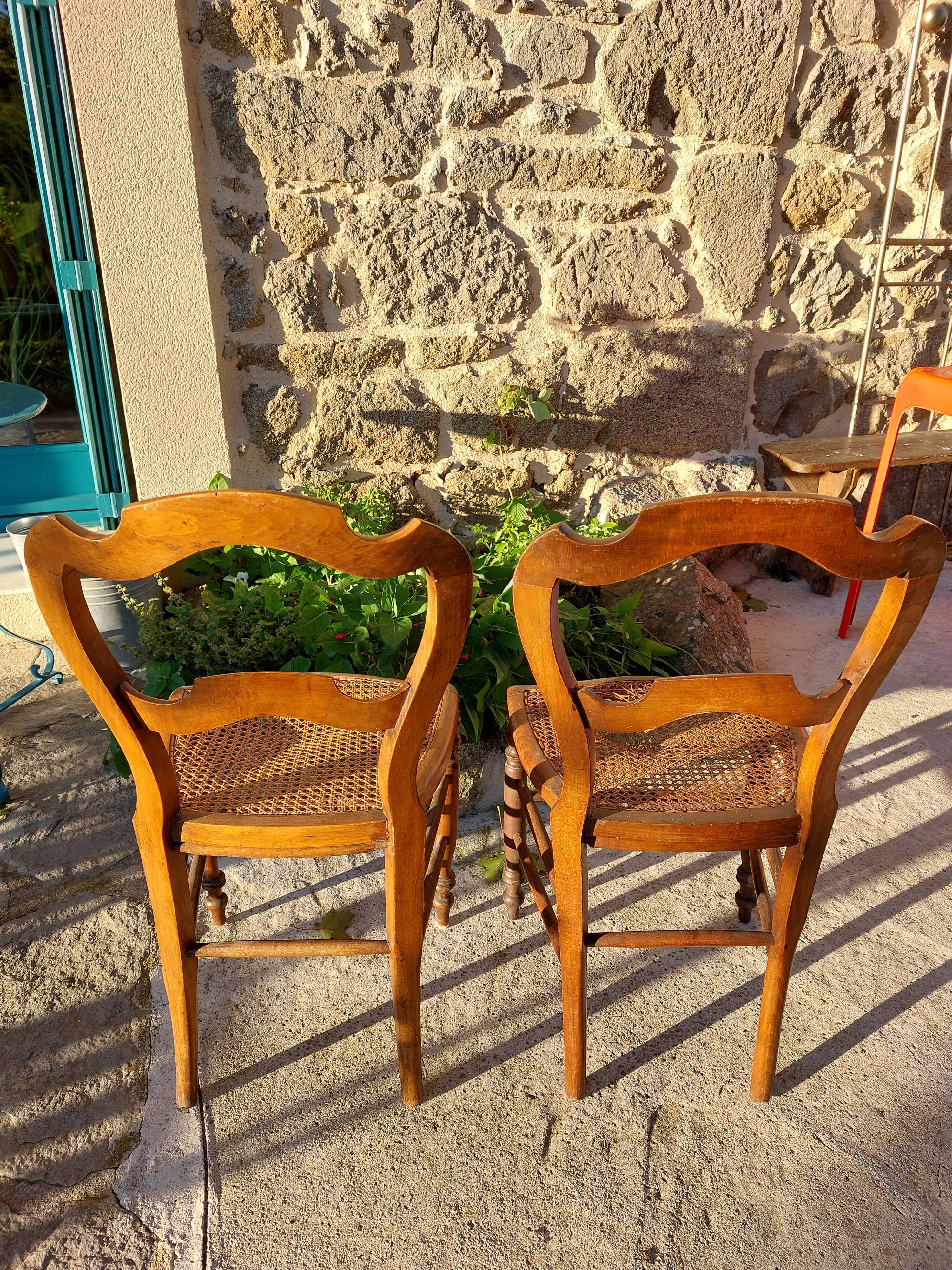 Lot of tanned chairs