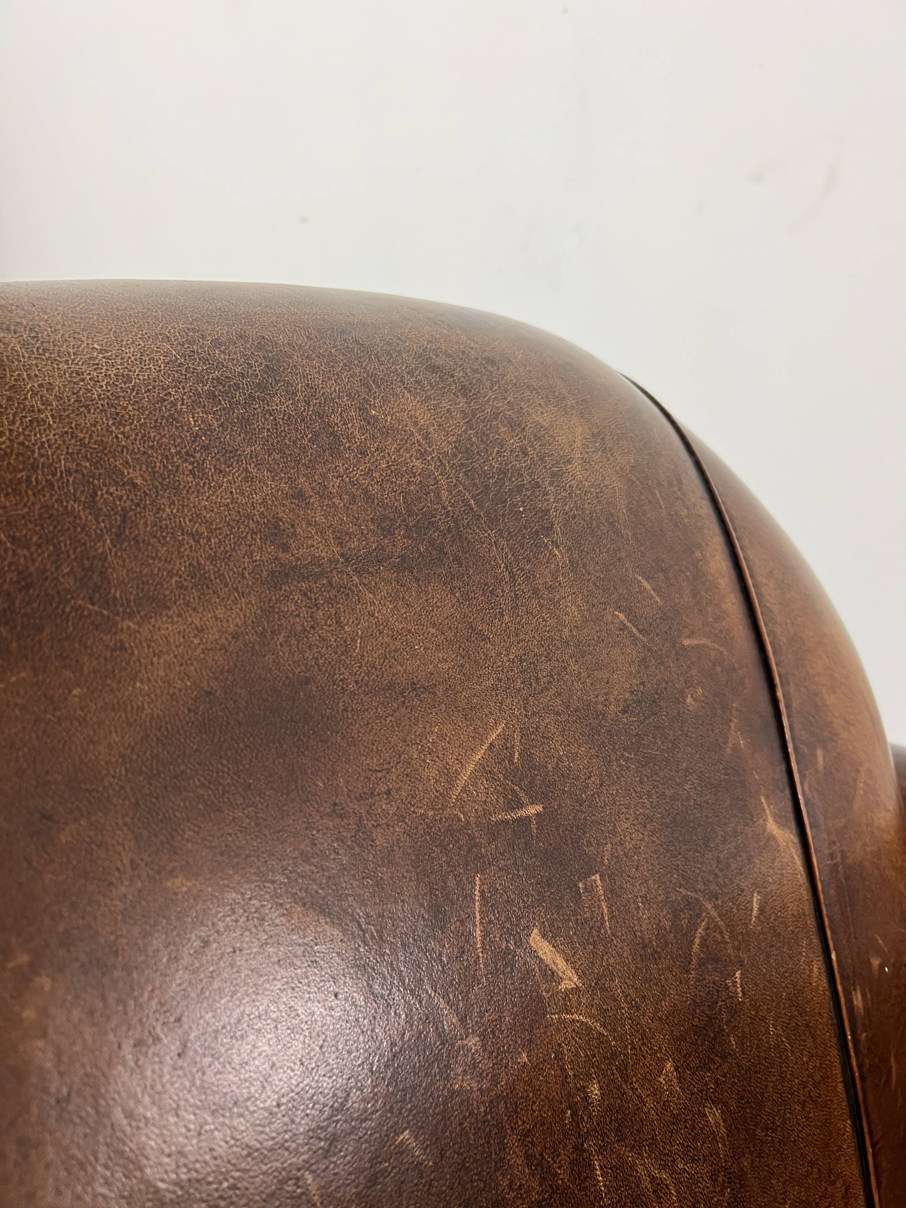 Club chair sheep leather