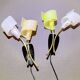 Pair of "vintage" wall lights in brass, perspex, and black bakelite, France Mid-Century