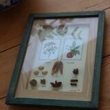 Vintage frame "The spices"