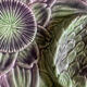 Artichoke slip plate