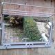 Former Wall coat hangers painted in gray iron