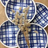 Scottish blue hollow plates