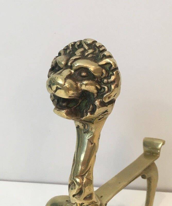 Pair of bronze andirons with lions