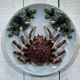 Set of 8 majolica-barbotine dishes and plates