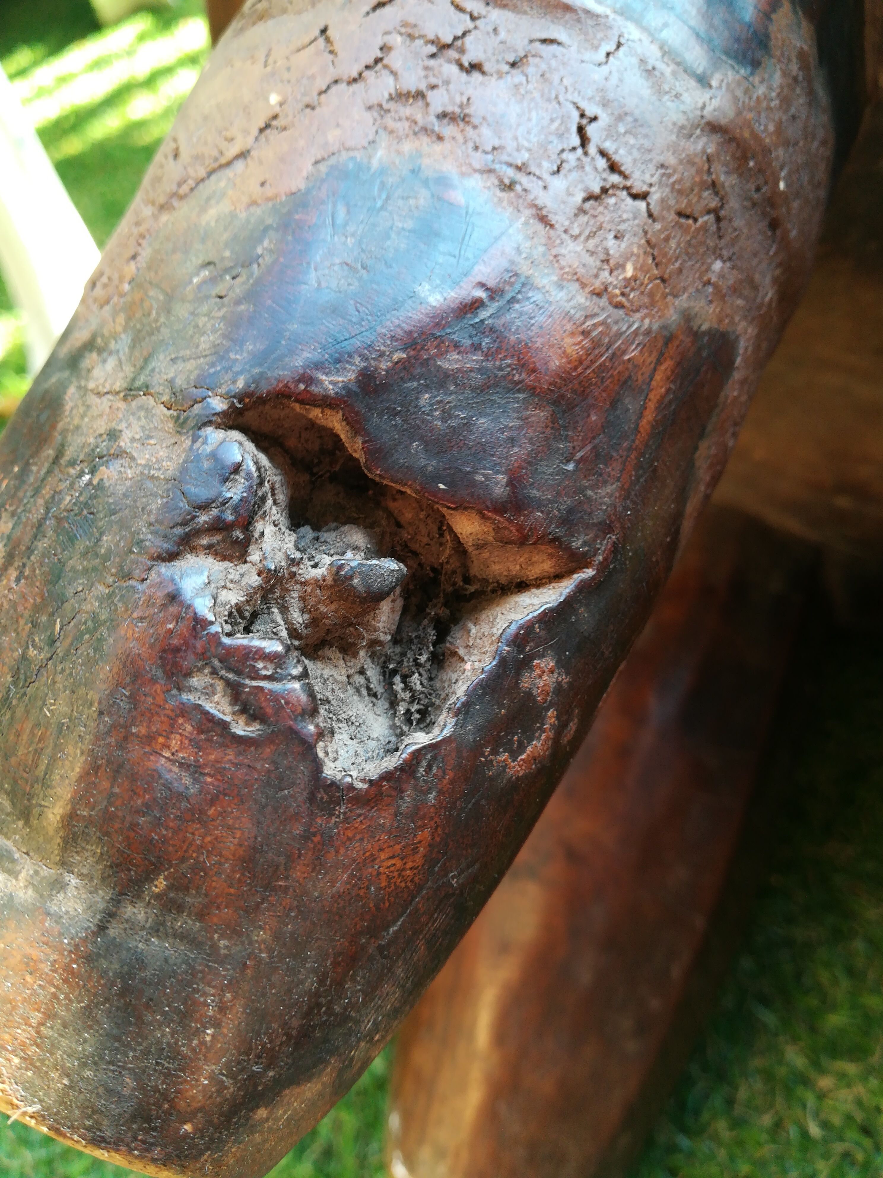 Tabouret where african head rests