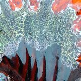 Vallauris style dishes