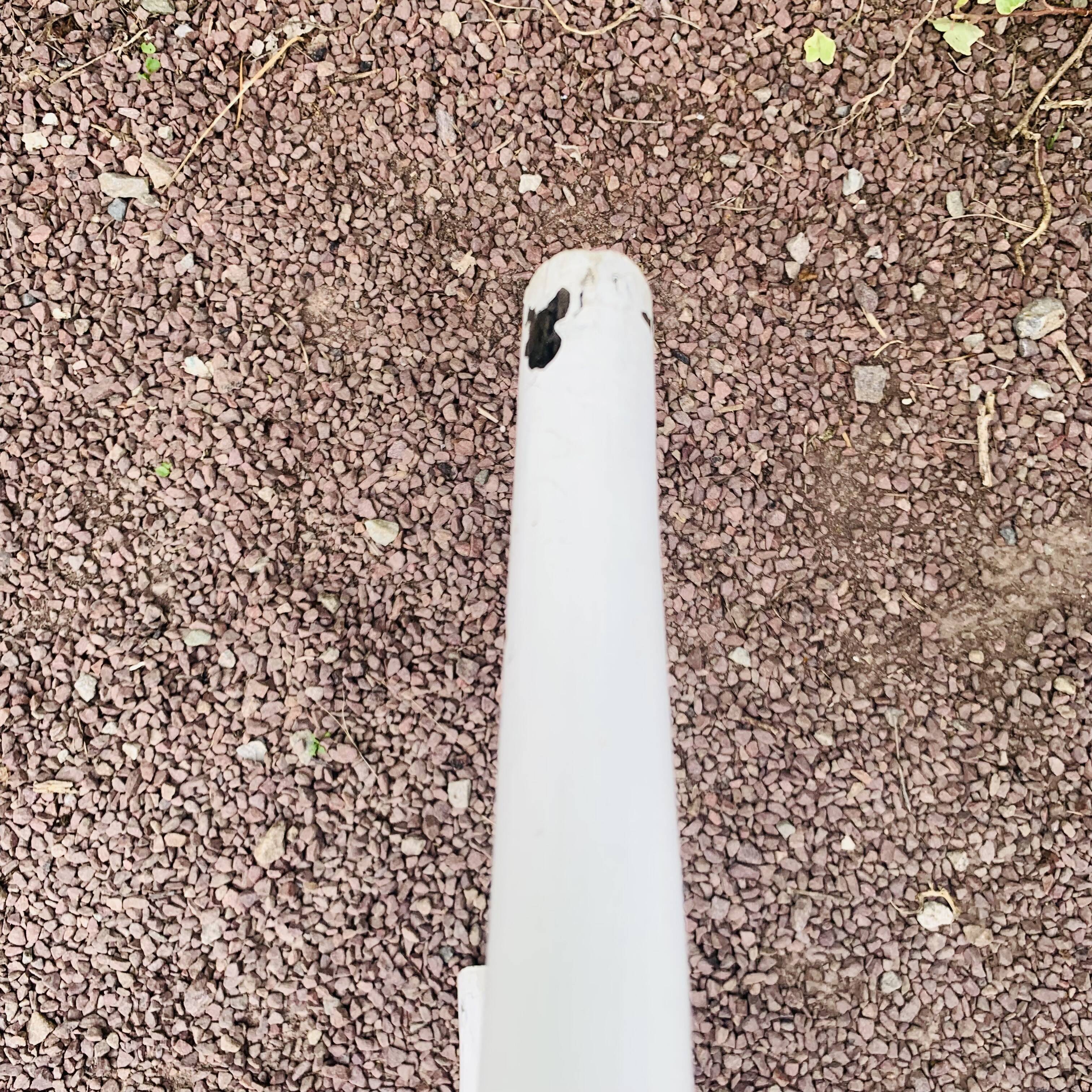 Antique pair of Italian Salvatore Leone chairs