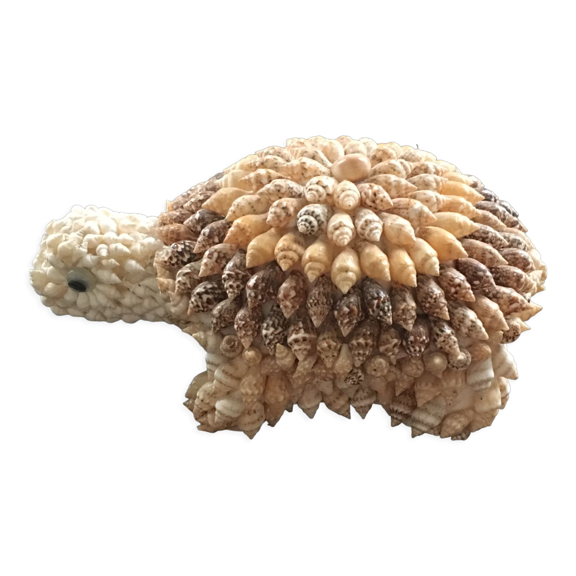 Shell turtle paperweight