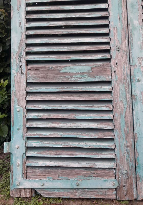 Pair of louvered shutters H220xW120cm