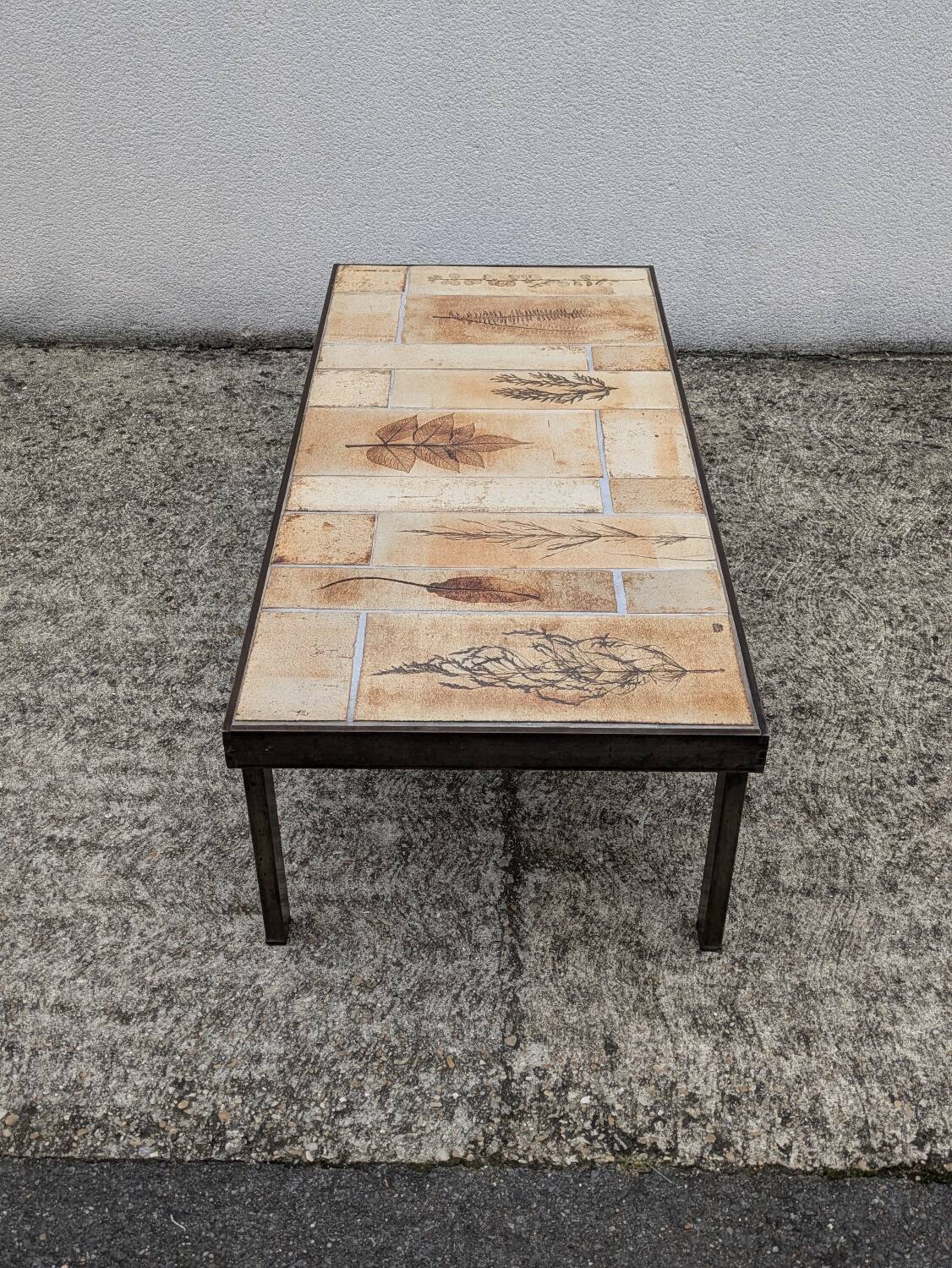 Roger Capron "herbarium" rectangular coffee table with patinated steel structure