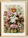 Affiche sur “les orchidées”, d’après une lithographie ancienne de 1904.