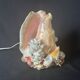 Lamp night light shell conch 1950 cabinet of curiosities seaside