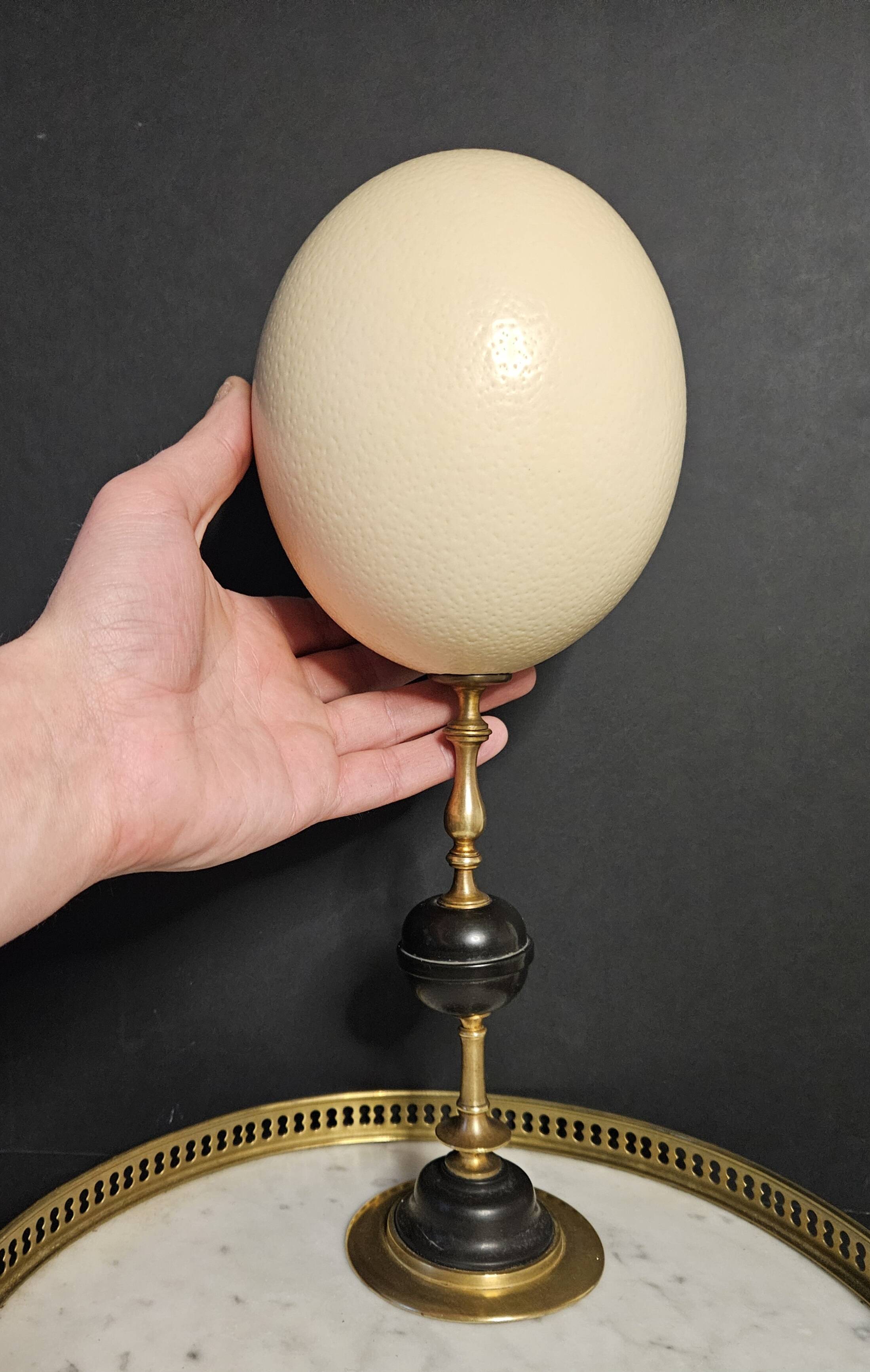 Ostrich Egg, Brass and Black Marble Base (20th century) H: 35 cm | Collection
