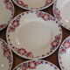 + Set 8 dessert plates Céranord - Saint Amand model Eglantines +