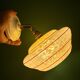 Vintage wall lamp with yellow clichy glass shade and red trim