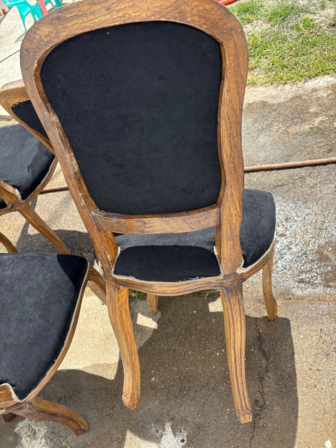 Chaises médaillons